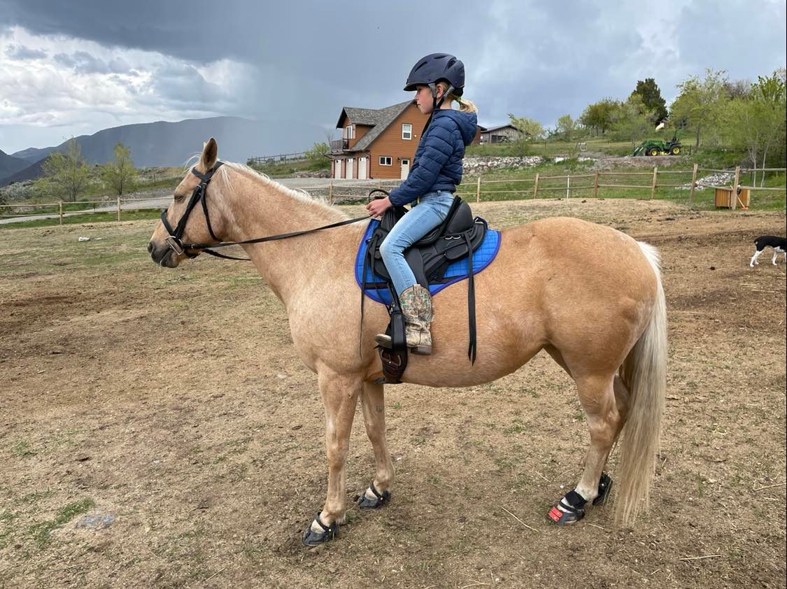 Edix EDIX Billy saddle pad with synthetic wool underside