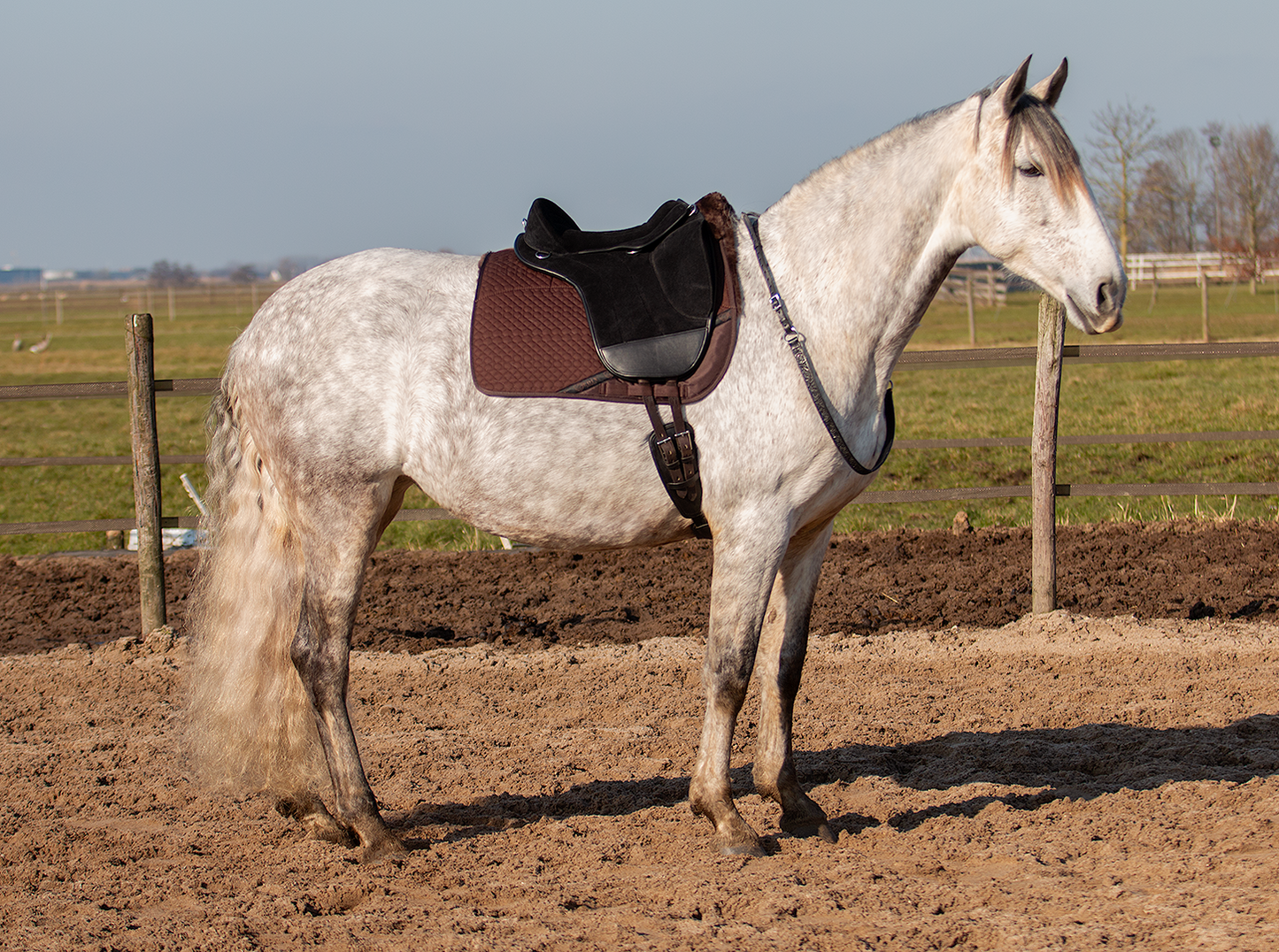EDIX Union barebackpad