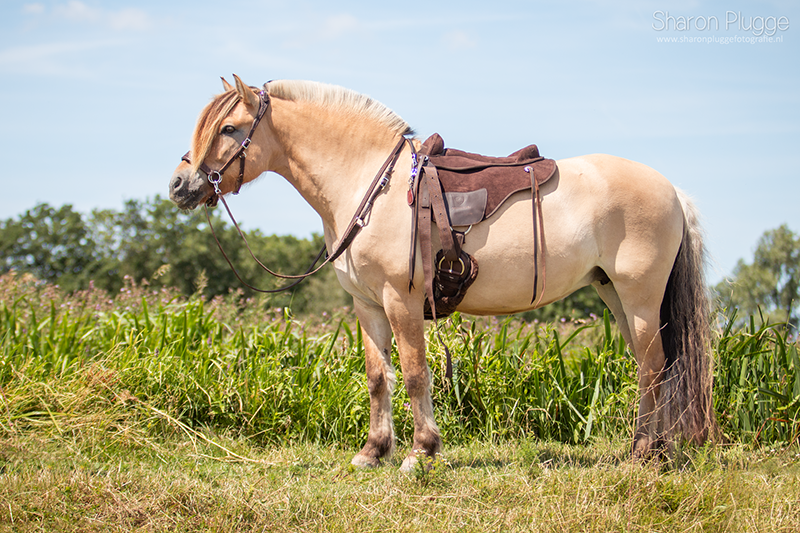 EDIX® Broncho barebackpad