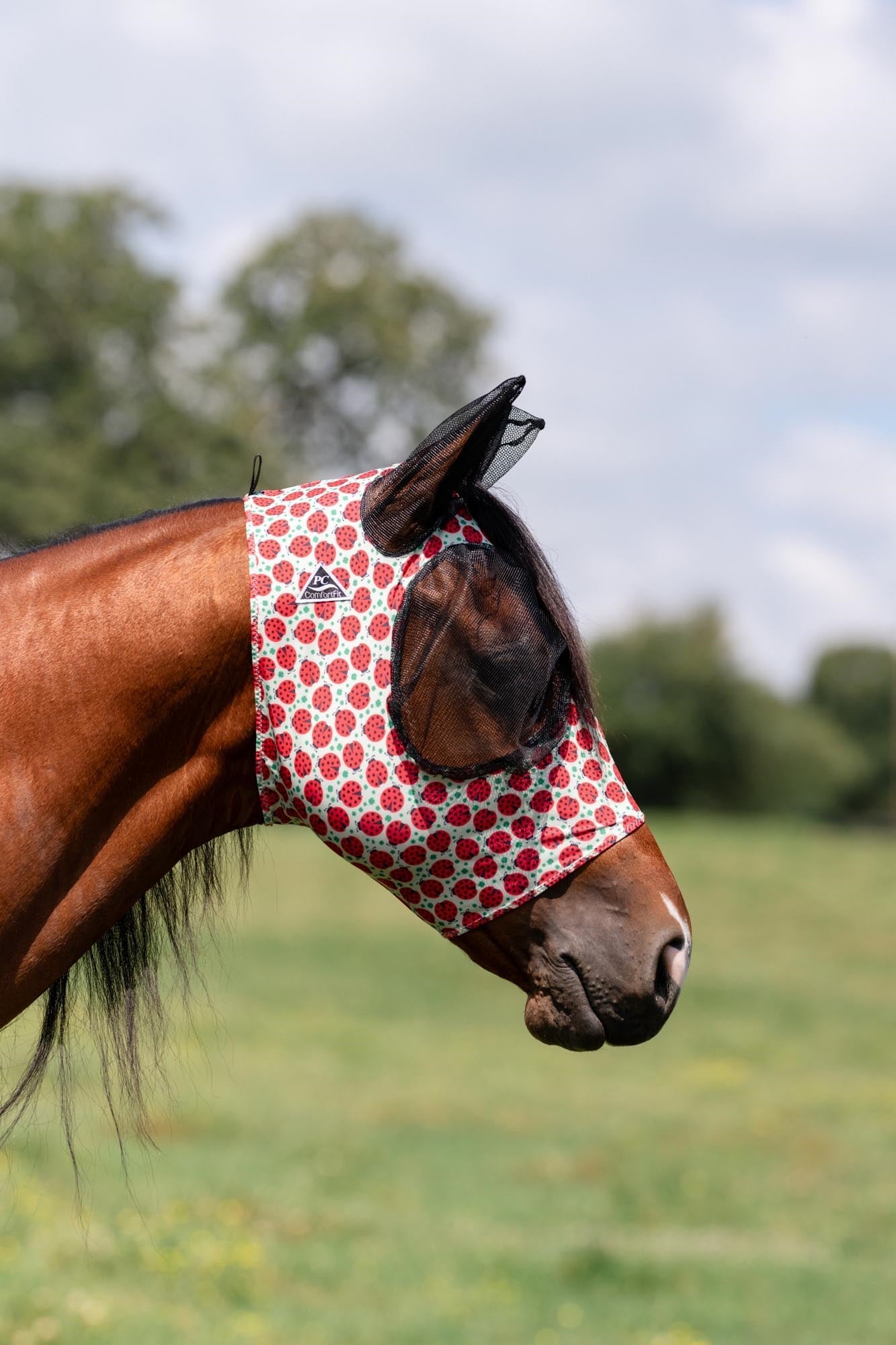 Comfort Fit Lycra Fly Mask w/ Forelock Opening | 2025 Mönstrade Färger