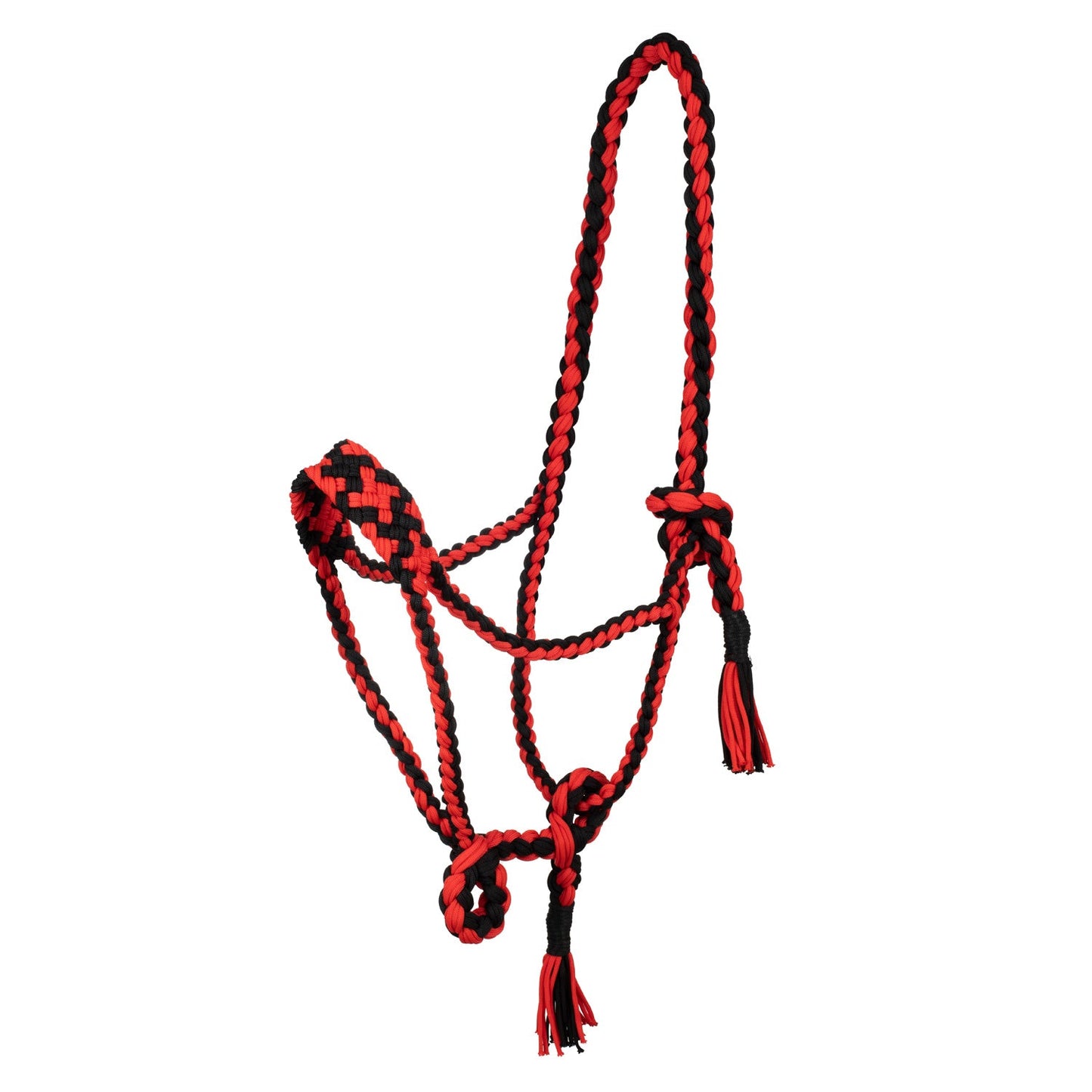 Braided nylon halter