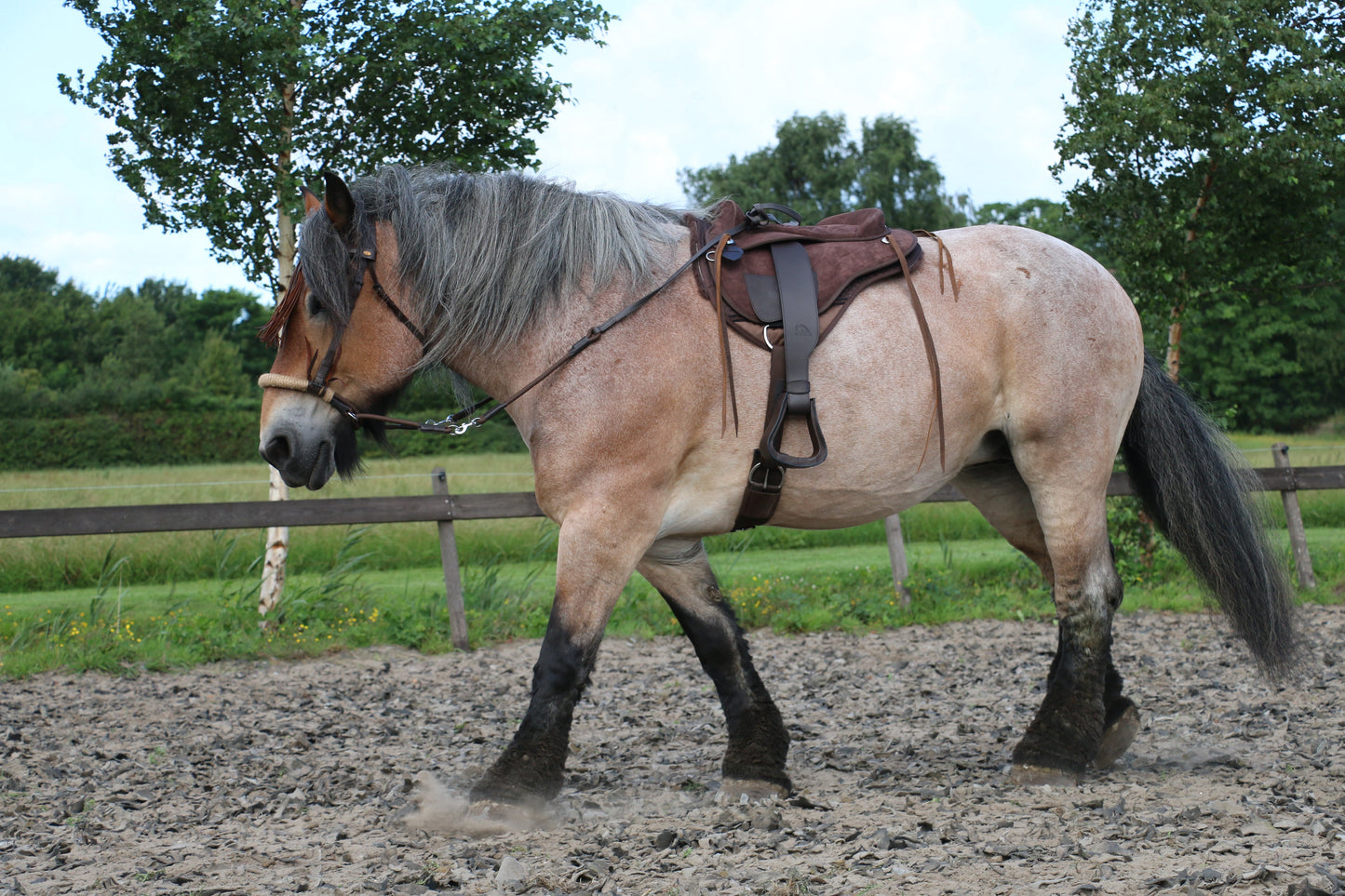 EDIX® Broncho barebackpad