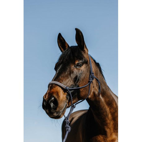 Repgrimma + ledrep NORTON – Deco