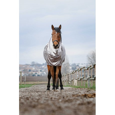 RIDING WORLD Eksemtäcke 95-165cm