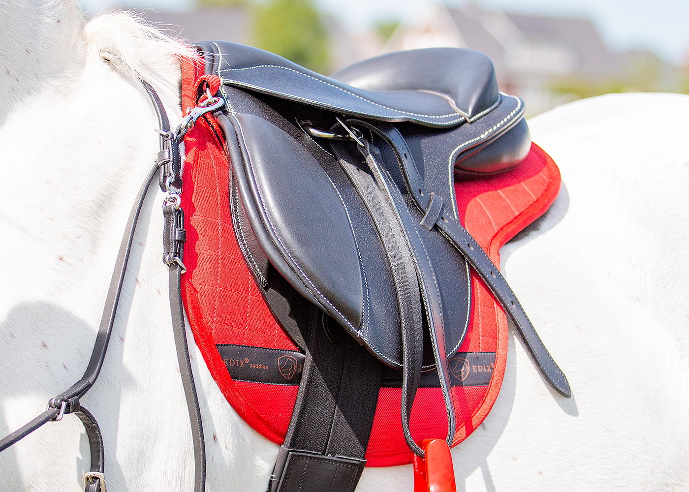 Edix EDIX Amigo Kids treeless general-purpose saddle