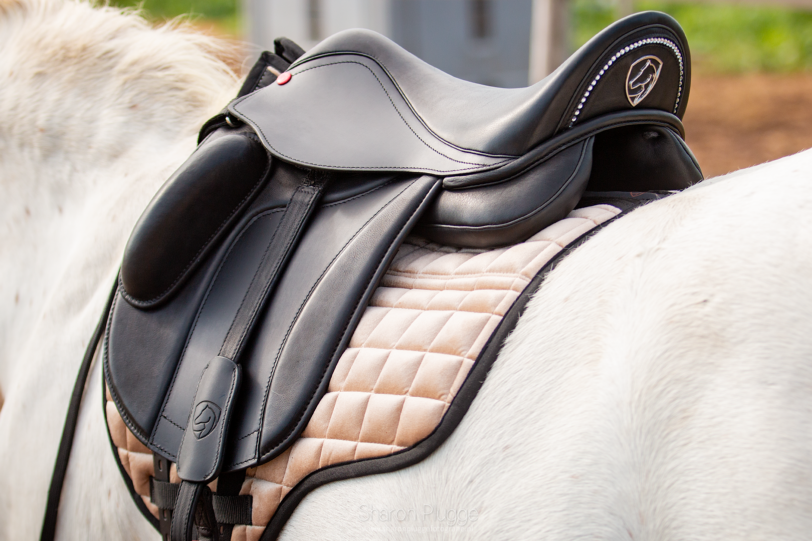 Edix EDIX DR velvet child saddlepad