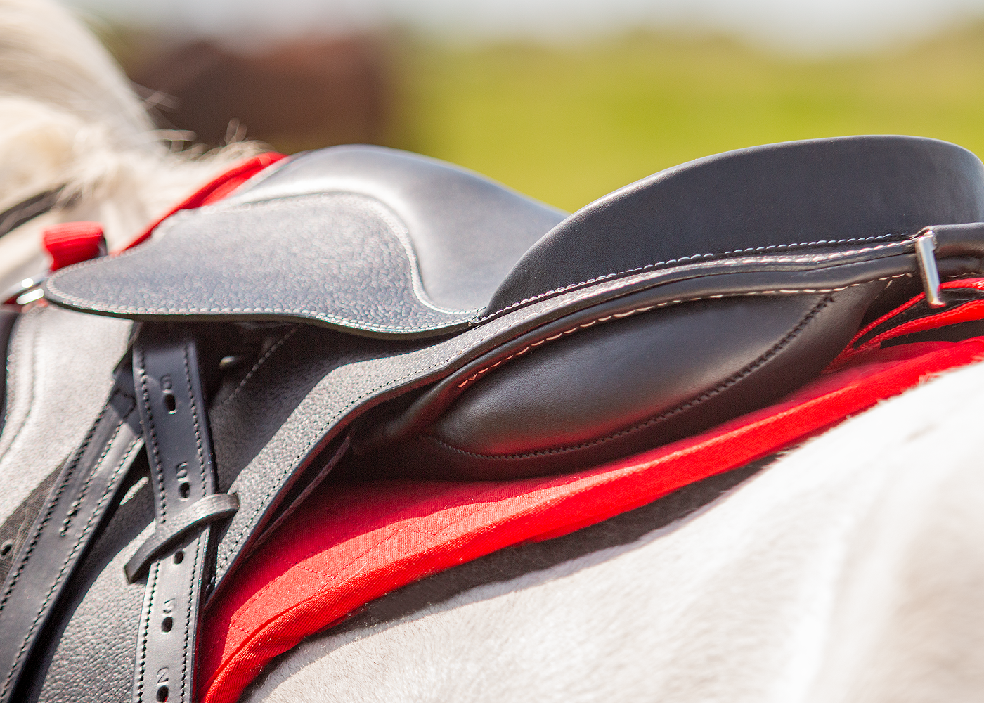 Edix EDIX Amigo Kids treeless general-purpose saddle