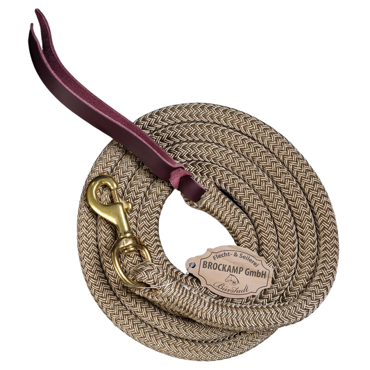 https://seilerei-brockamp.de/wp-content/uploads/2025/02/2-Lead-Rope-2-m-Bolzenkarabiner-Messing-Profi.png