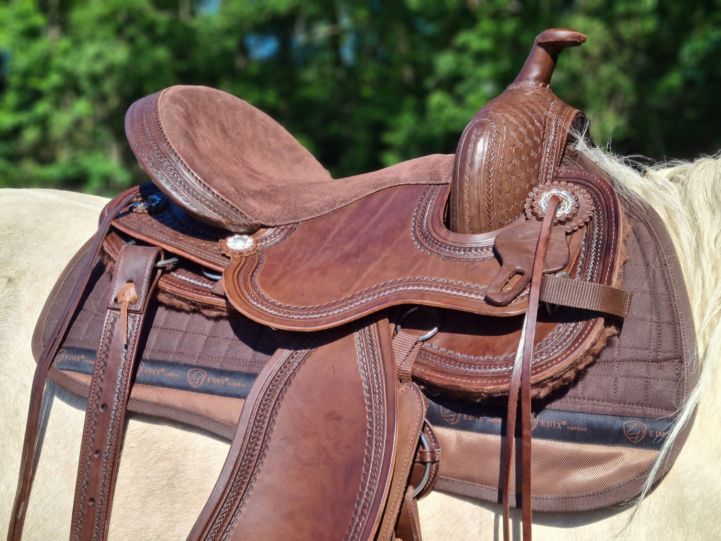 EDIX Django treeless Western saddle