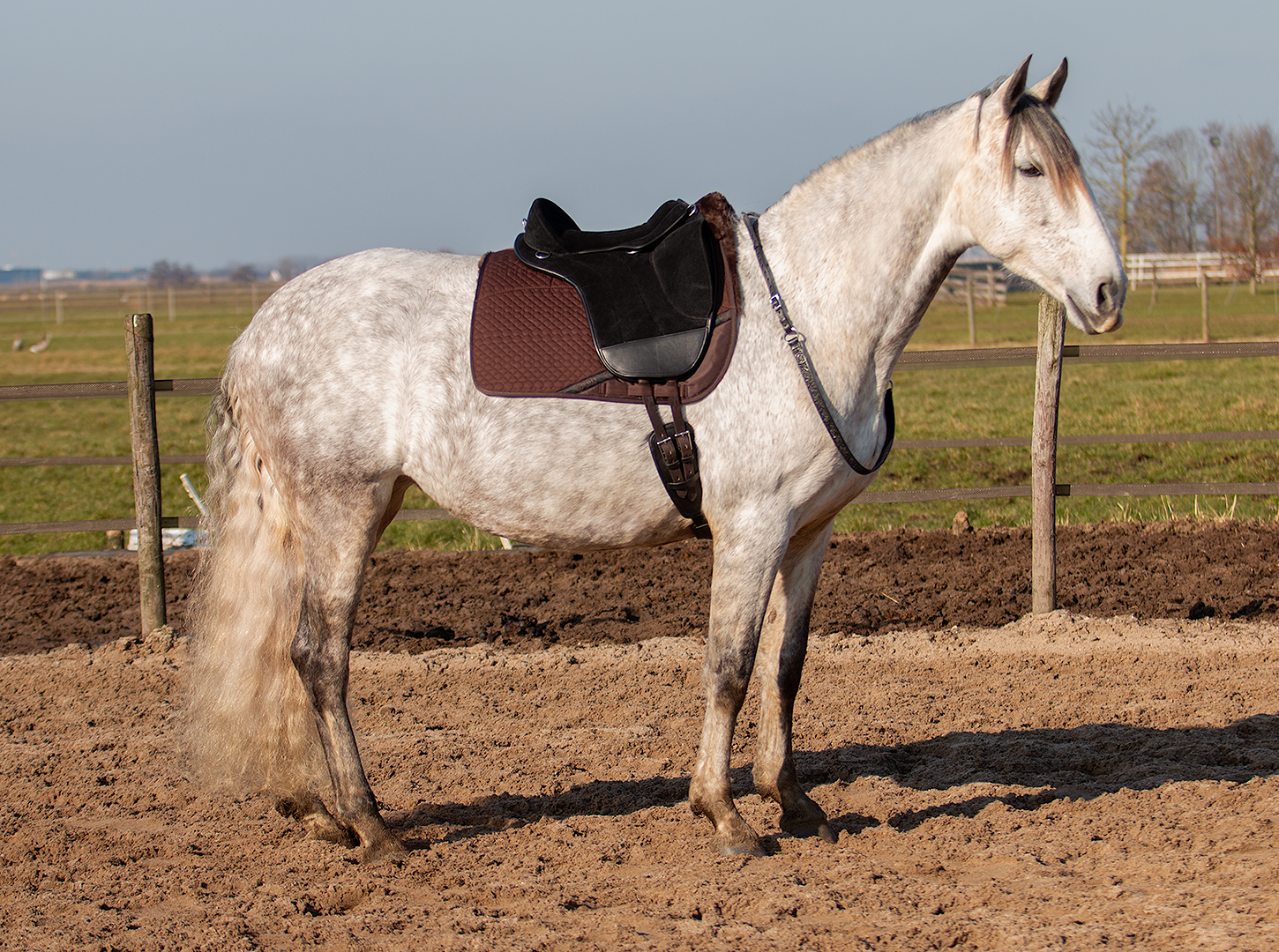 EDIX Union barebackpad