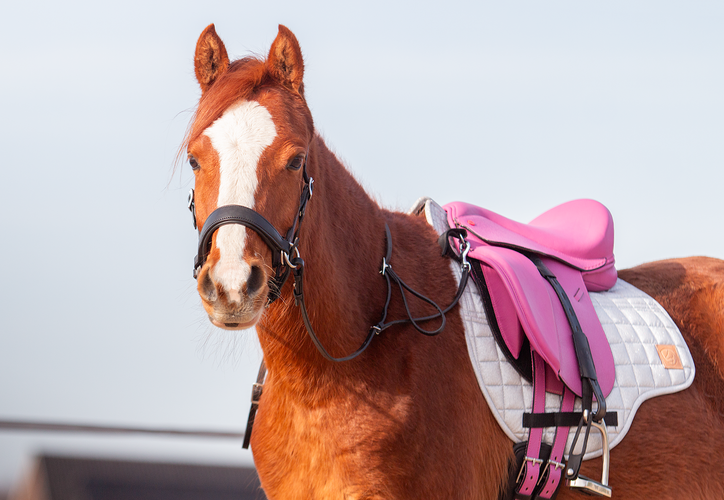 Edix EDIX Elore Kids treeless dressage saddle