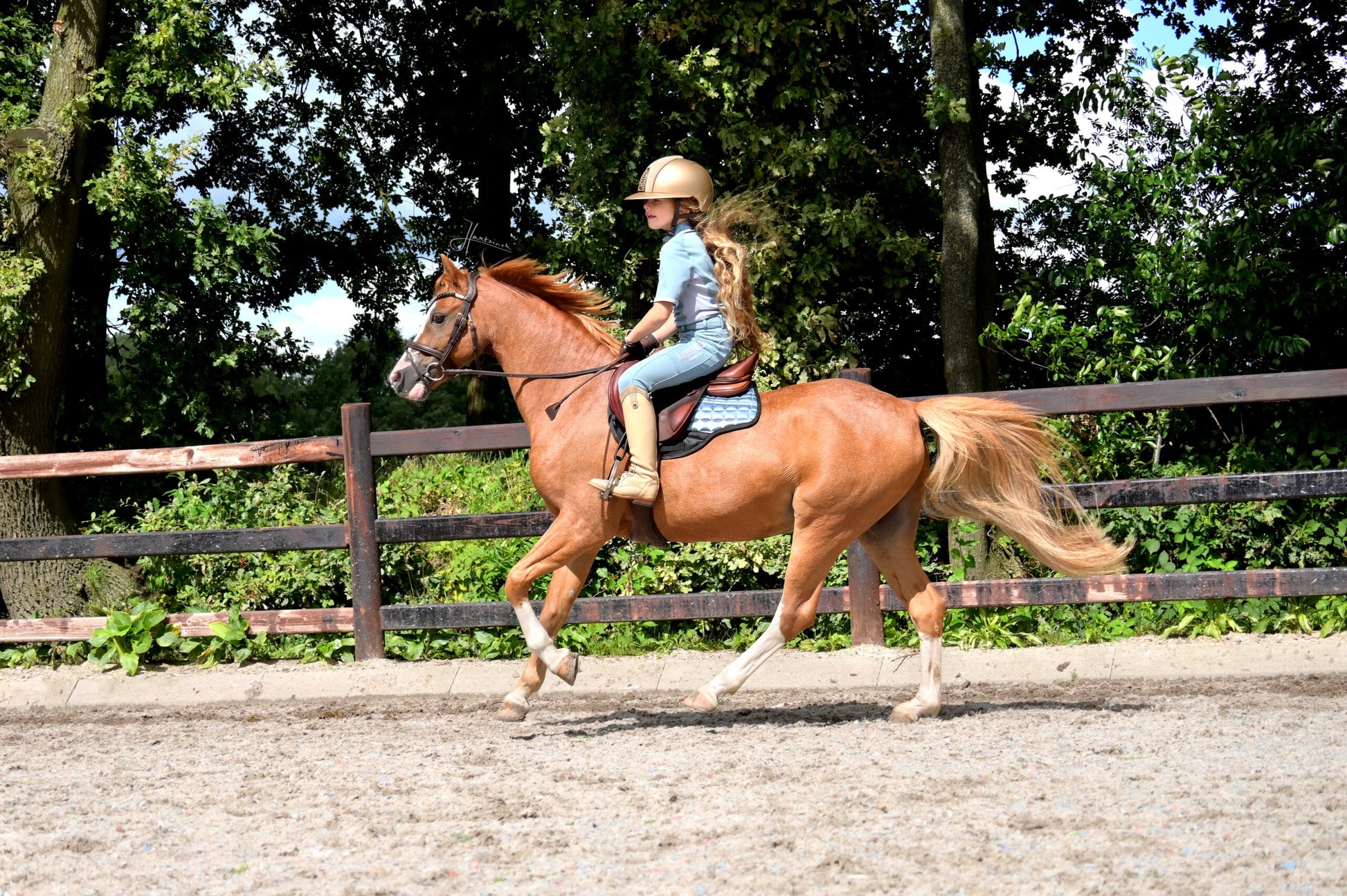 Edix EDIX Metallic GP saddlepad child