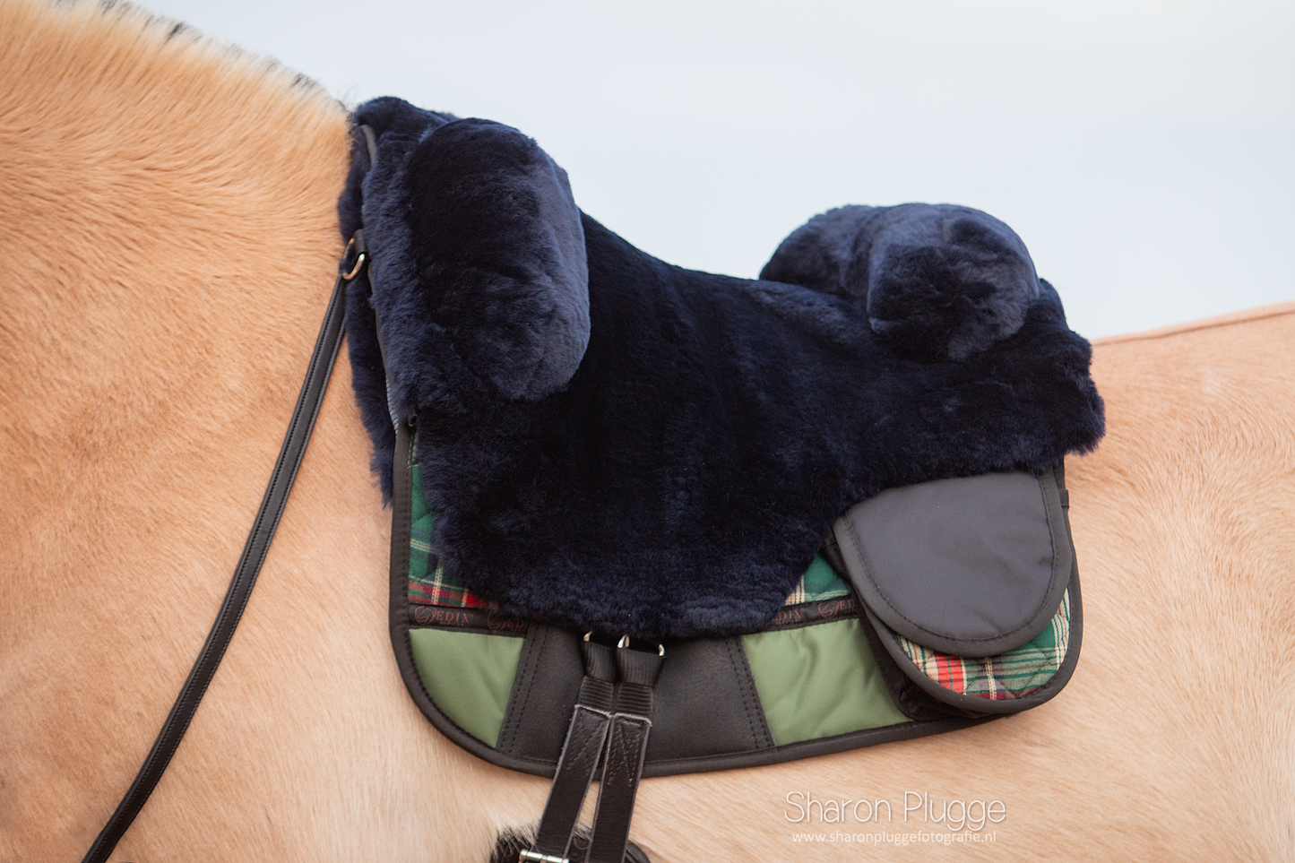EDIX Signor Velvet Merino Barbackapad