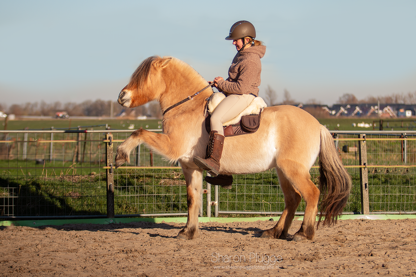 EDIX Signor Velvet Merino Barbackapad Junior