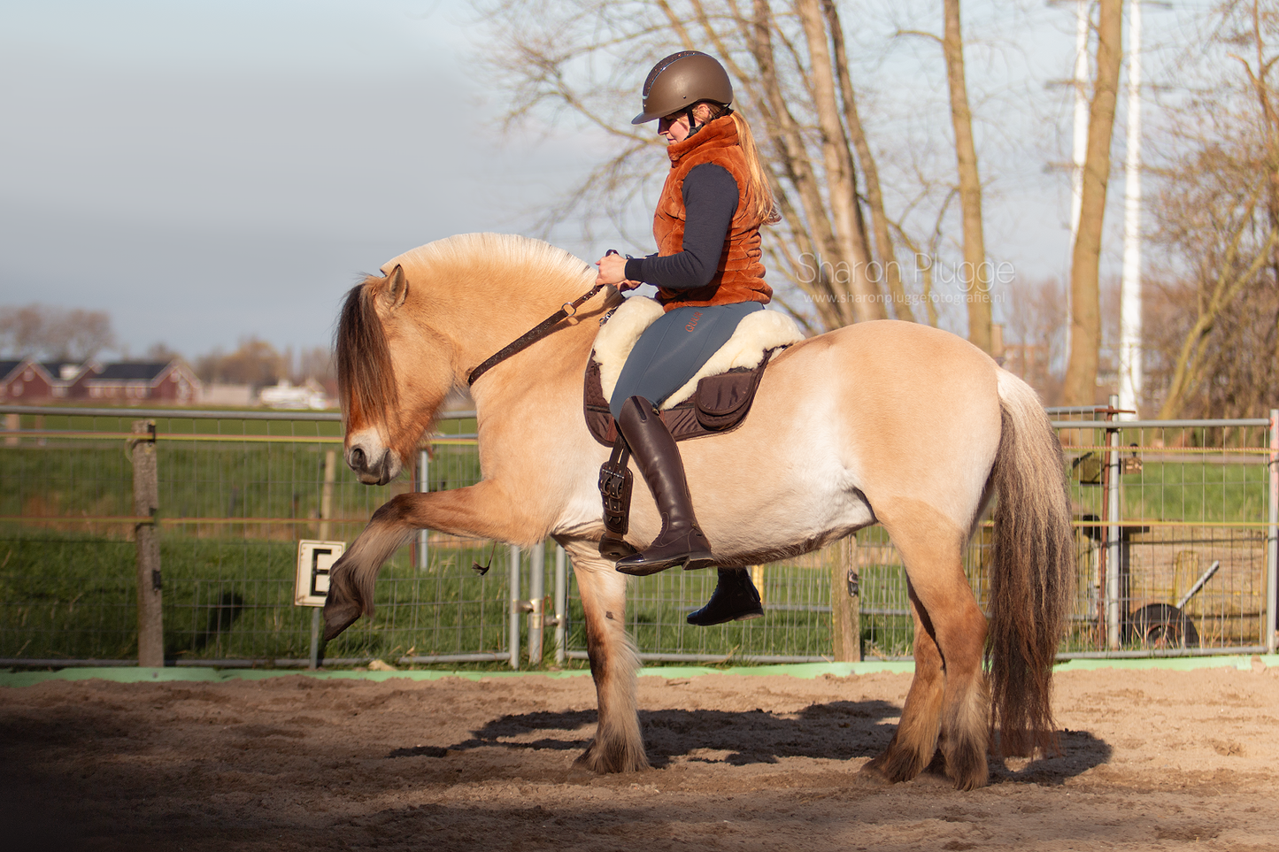 EDIX Signor Velvet Merino Barbackapad Junior
