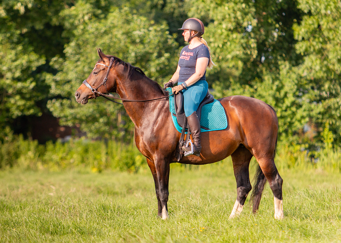 EDIX Union Barbackasadel Läder