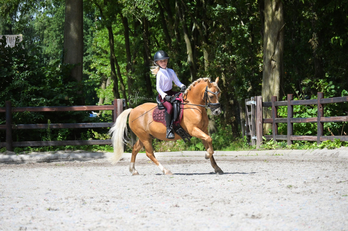 Edix EDIX DR Sparkle 8-pocket pad child