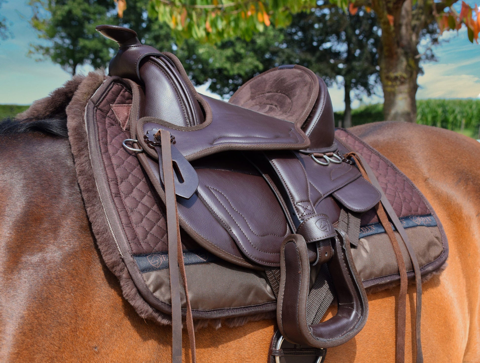 Edix EDIX Billy synthetic treeless Western kids saddle