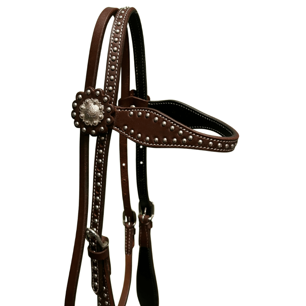 Raw Tack Studded Browband Headstall with conchos