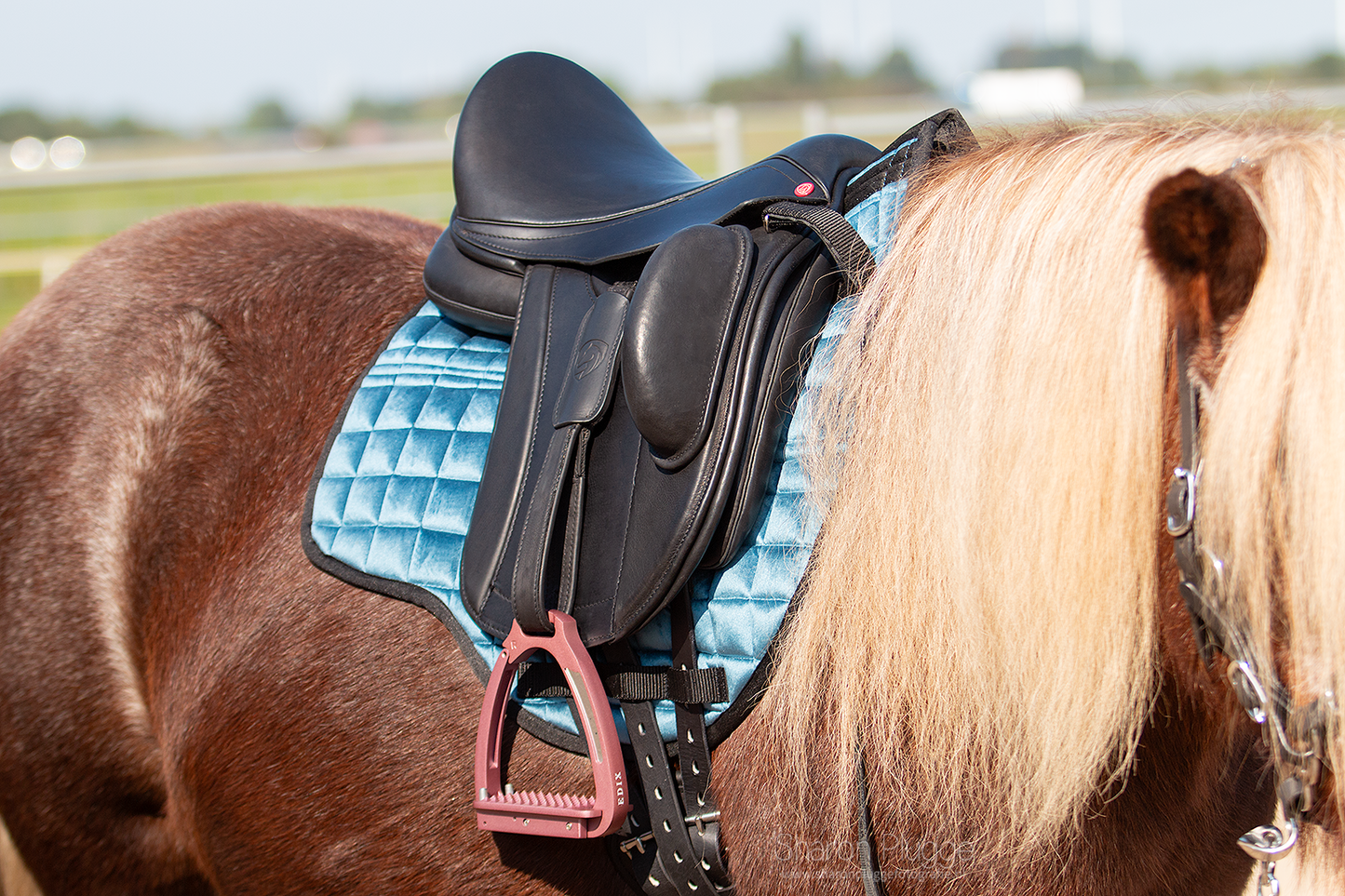 Edix EDIX DR velvet child saddlepad