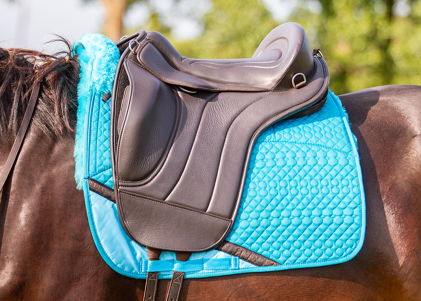 Edix EDIX DR 8-pocket Merino pad