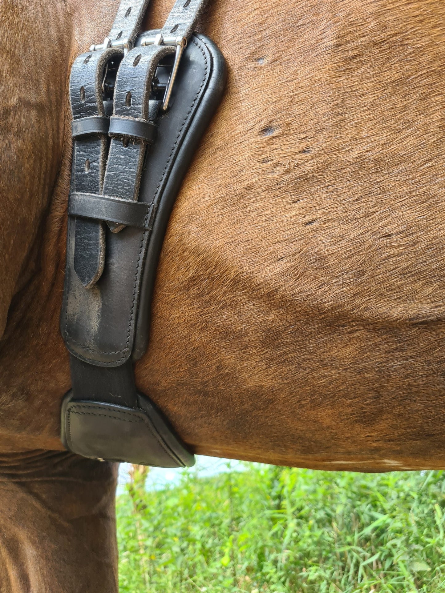 Edix EDIX crescent 3-part girth dressage