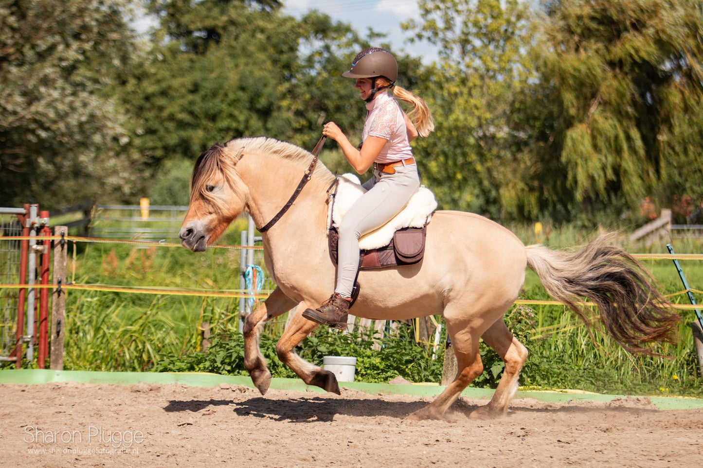 EDIX Rose cordeo, of the Rose collection