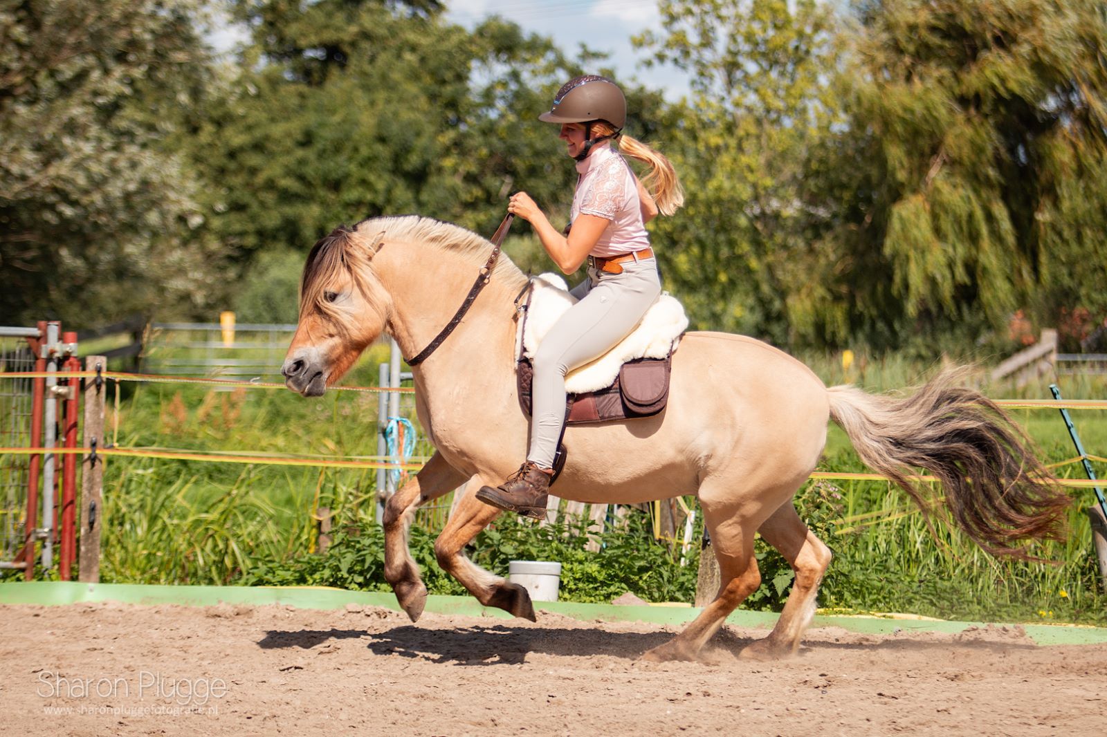 EDIX Rose cordeo, of the Rose collection