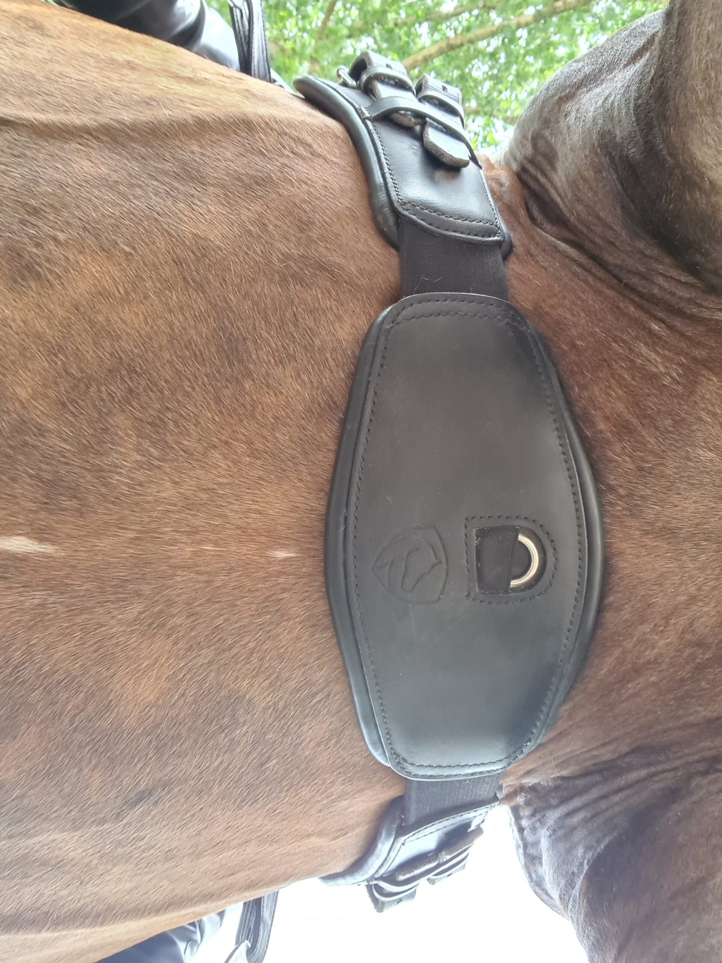 Edix EDIX crescent 3-part girth dressage