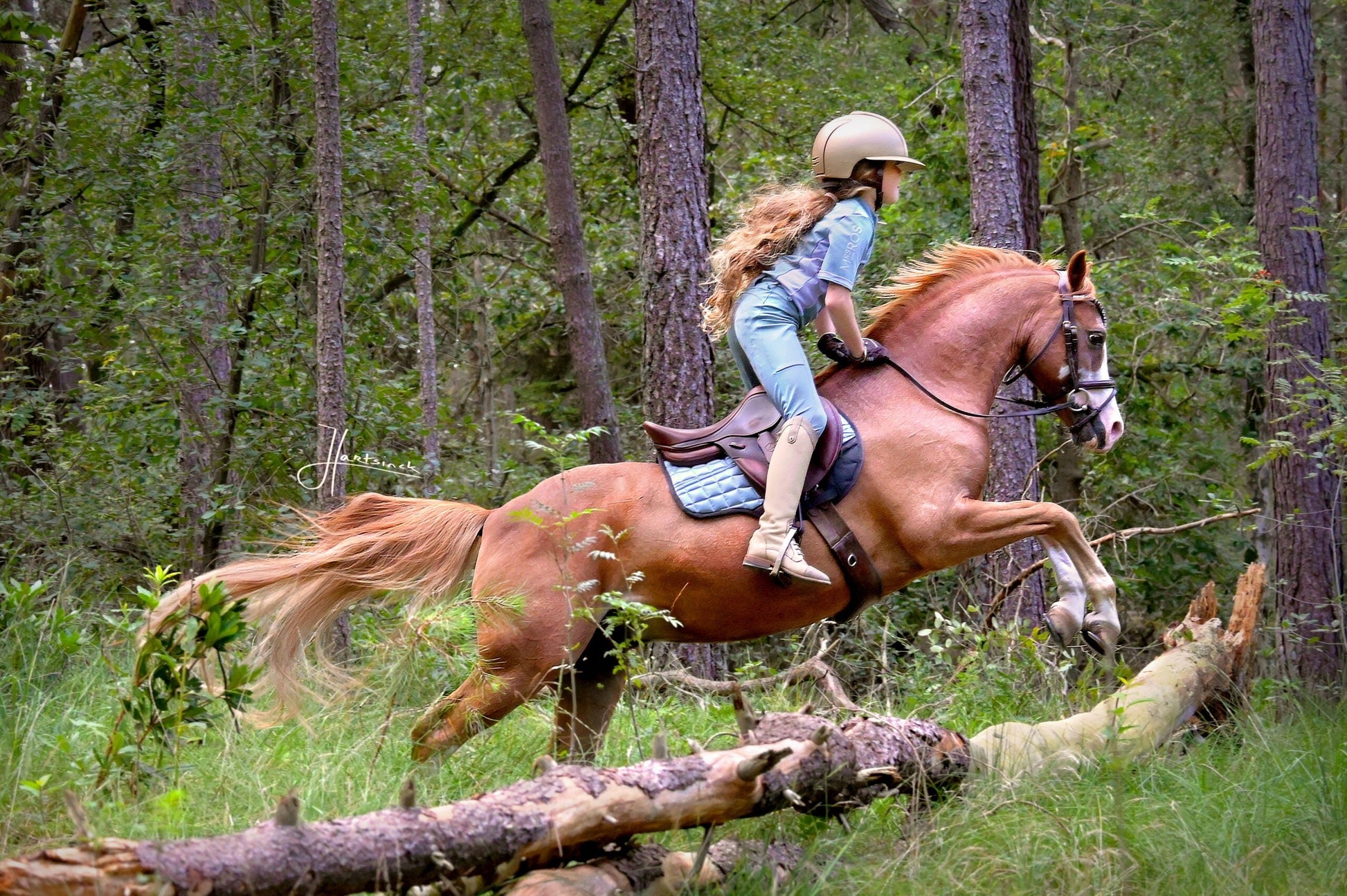 Edix EDIX Metallic GP saddlepad child