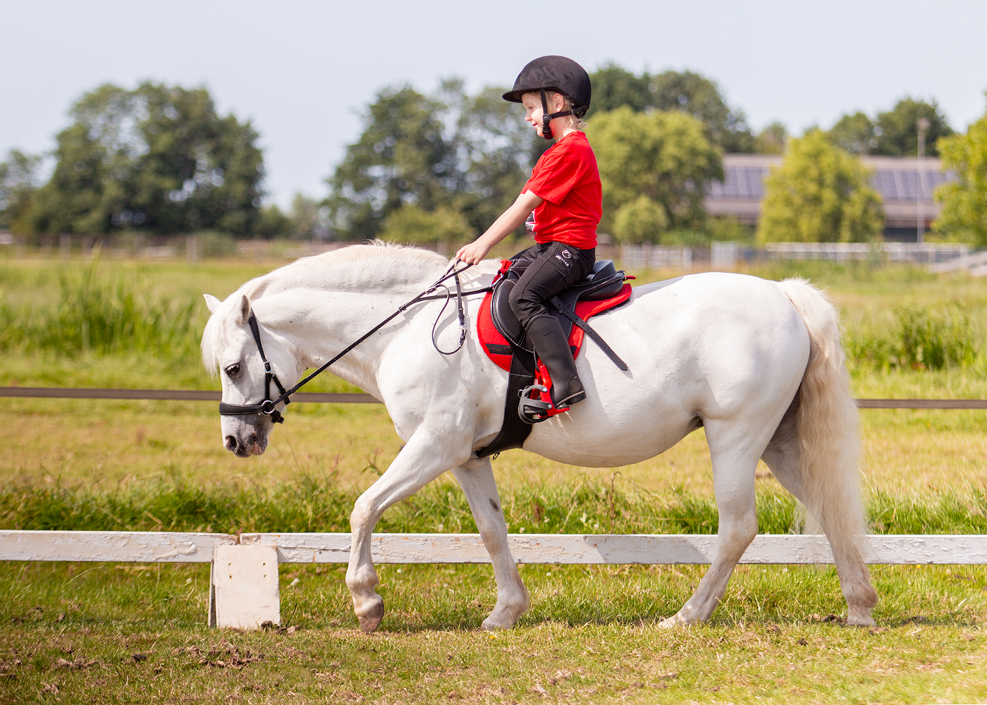 Edix EDIX Amigo Kids treeless general-purpose saddle