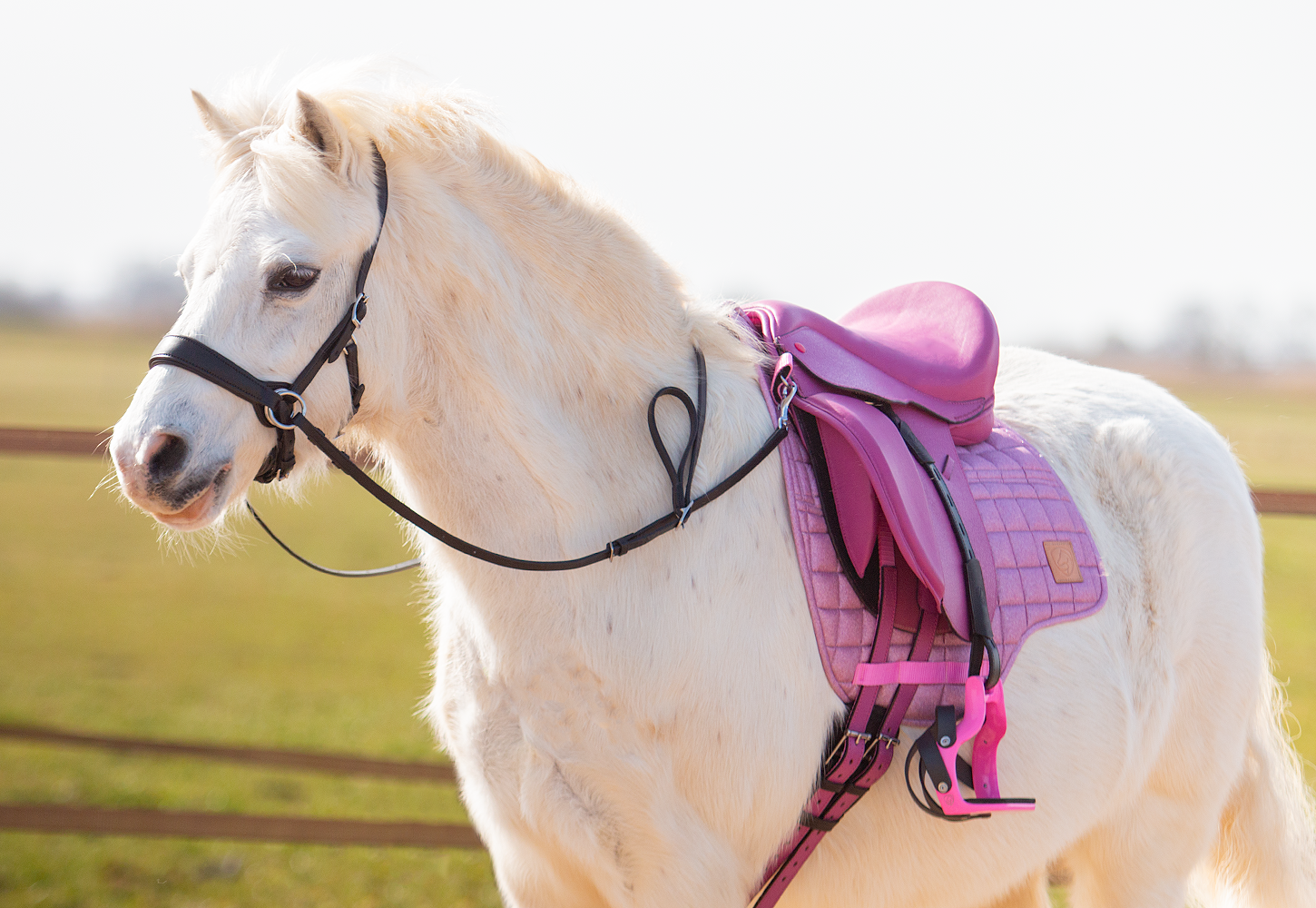 Edix EDIX Elore Kids treeless dressage saddle