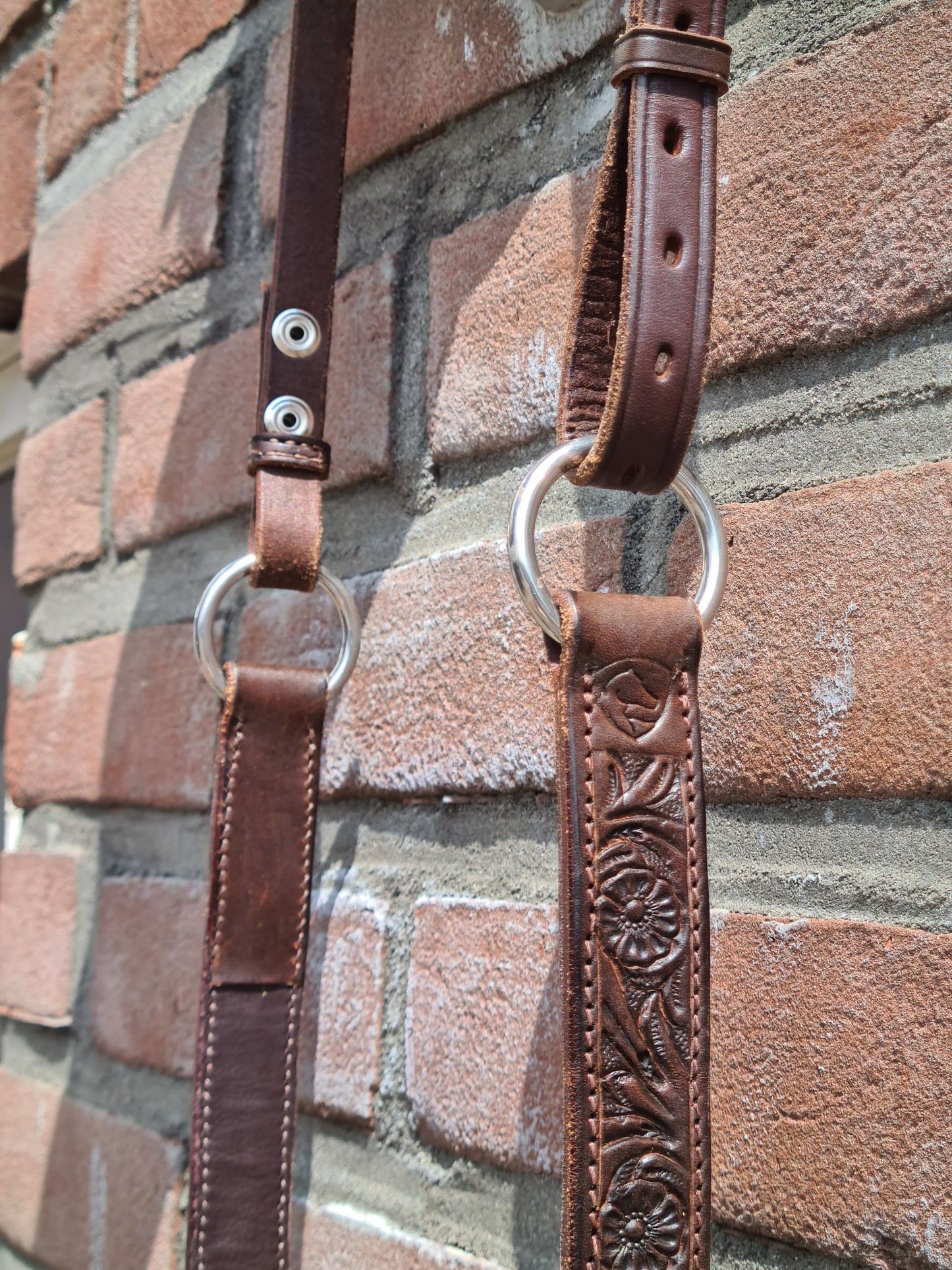 EDIX Rose cordeo, of the Rose collection