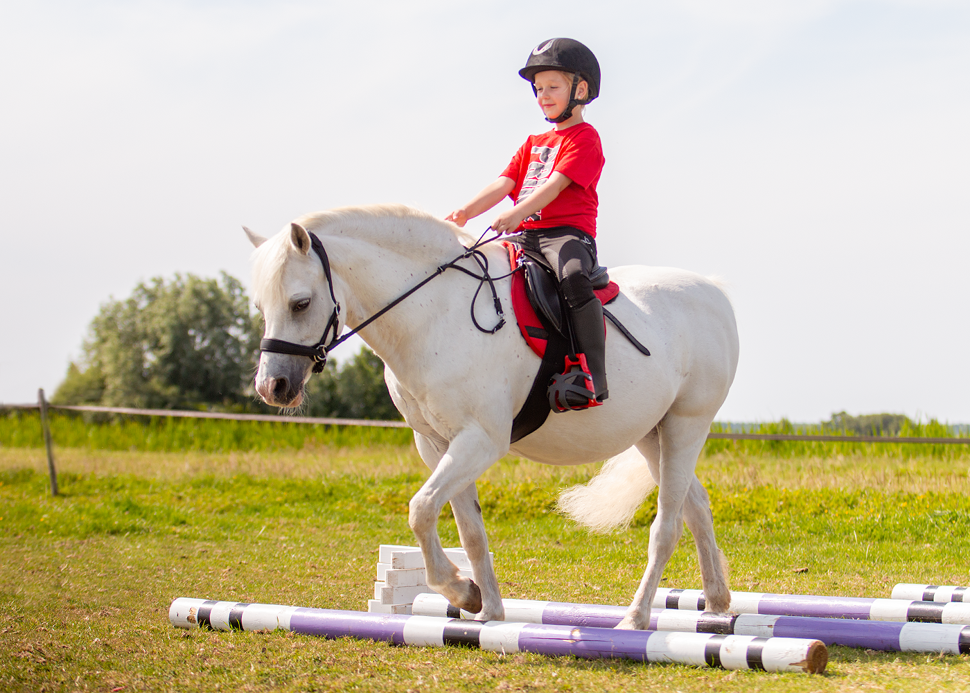 Edix EDIX Amigo Kids treeless general-purpose saddle