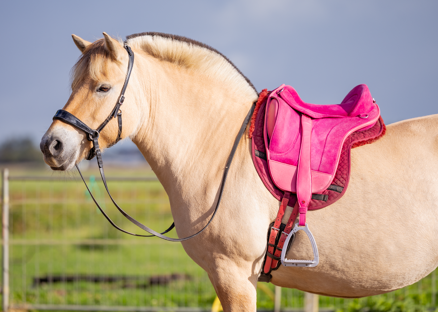 Edix EDIX® Mono Wide stirrupleathers