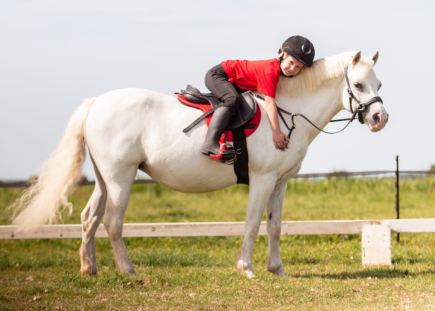 Edix EDIX Amigo Kids treeless general-purpose saddle
