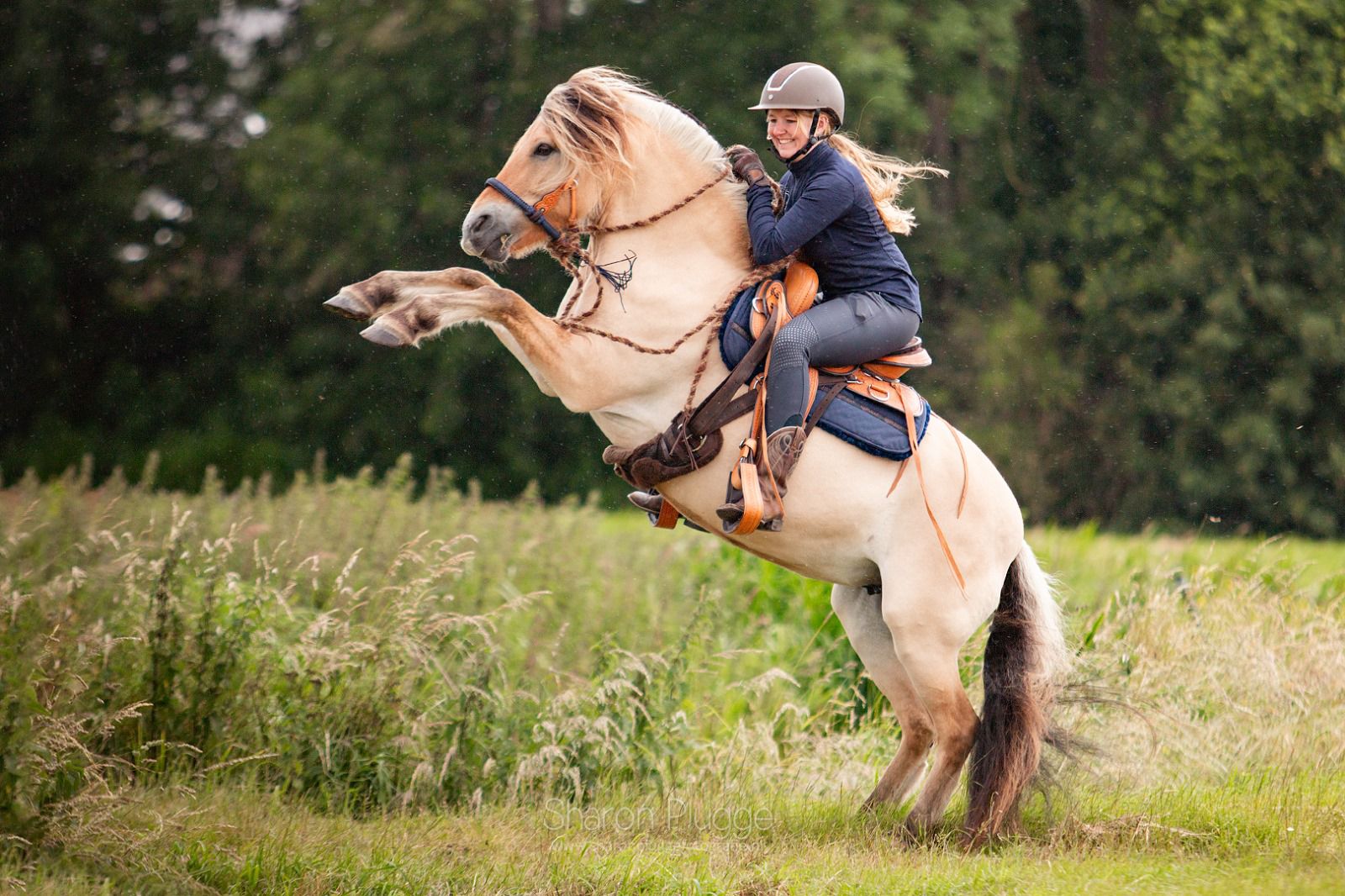 EDIX Santos treeless western saddle