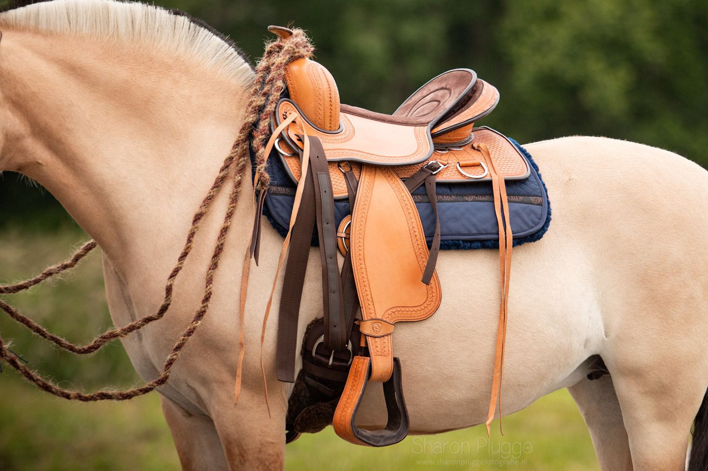 EDIX Santos treeless western saddle