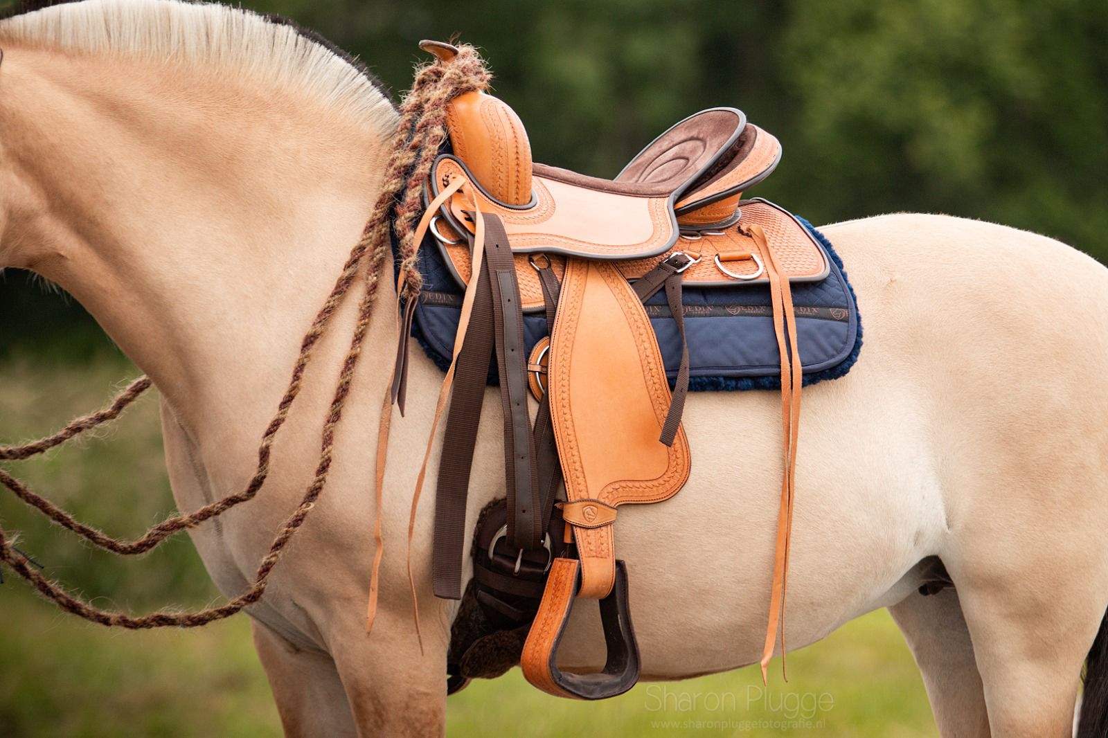 EDIX Santos treeless western saddle