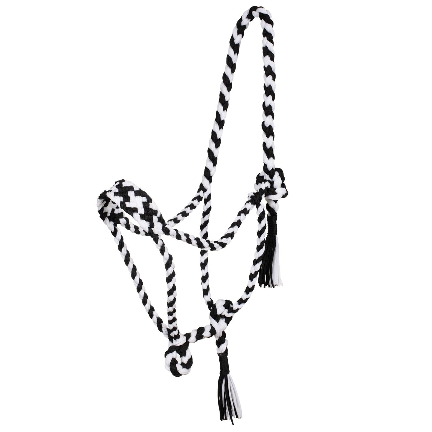 Braided nylon halter