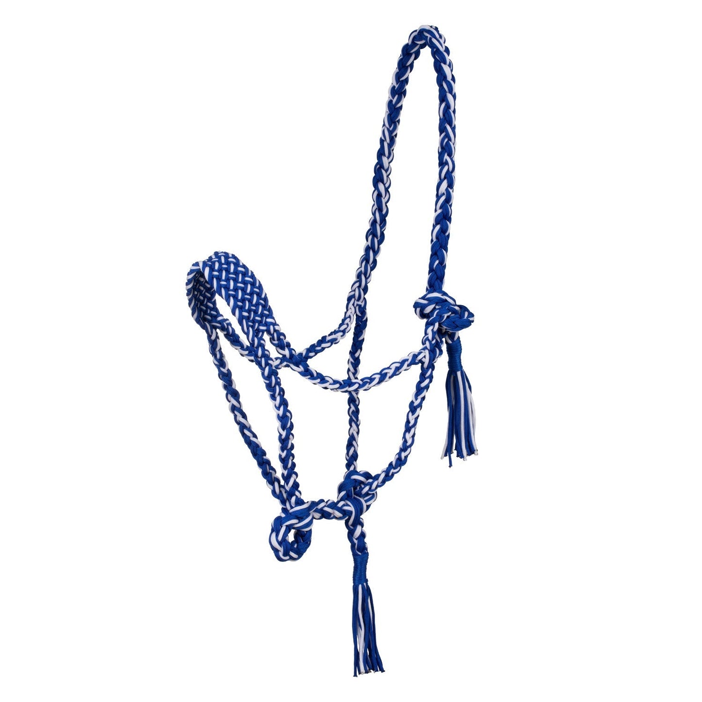 Braided nylon halter