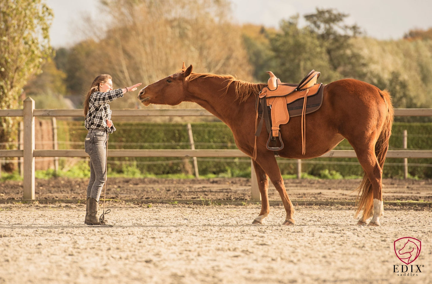 EDIX Santos treeless western saddle
