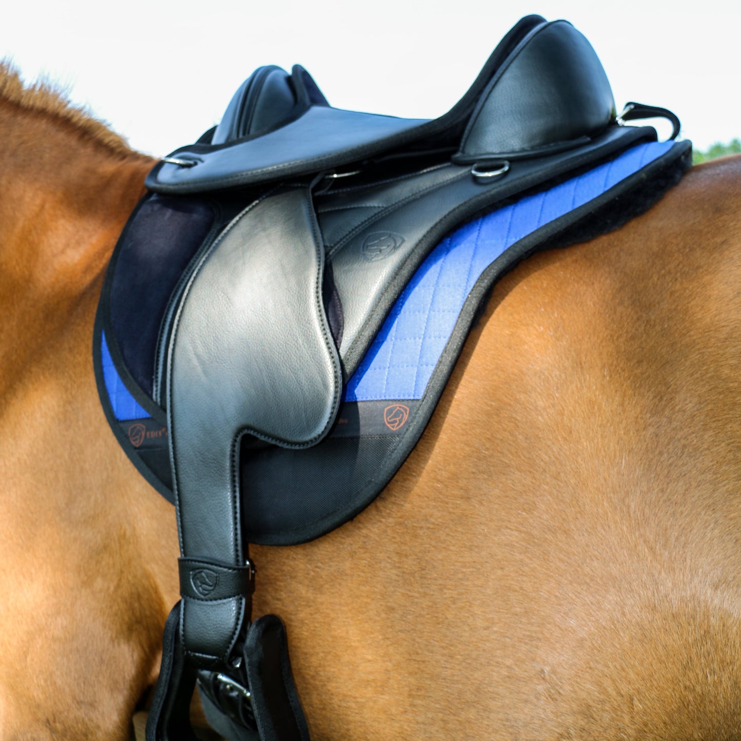 Edix EDIX Vika Child treeless general-purpose saddle