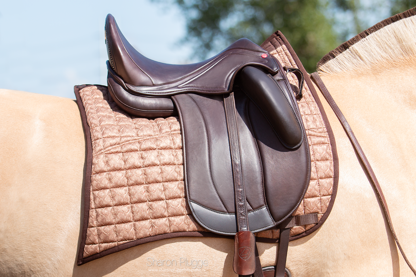 Edix EDIX DR Special Lace 8-pocket pad