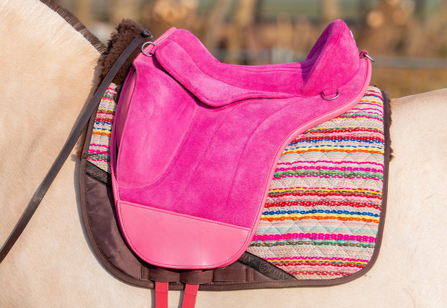 EDIX Union barebackpad