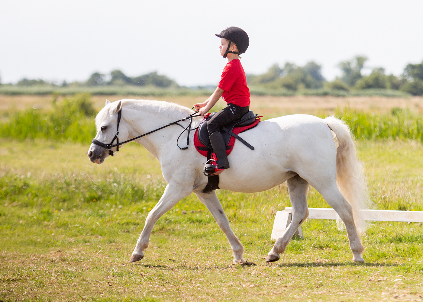 Edix EDIX Amigo Kids treeless general-purpose saddle