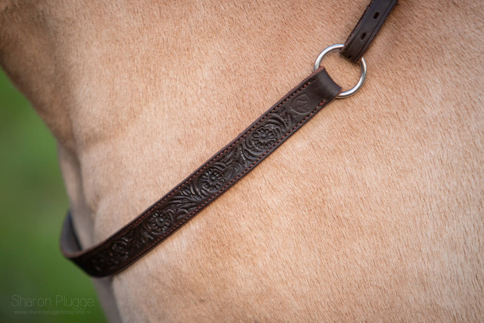 EDIX Rose cordeo, of the Rose collection