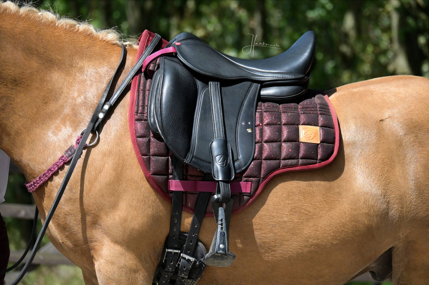 Edix EDIX DR Sparkle 8-pocket pad child