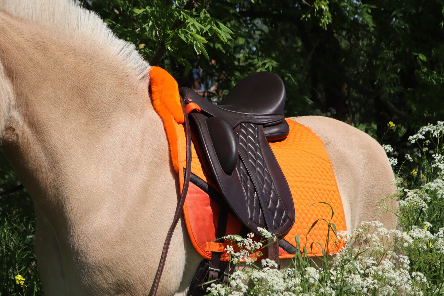 Edix EDIX DR 8-pocket Merino pad