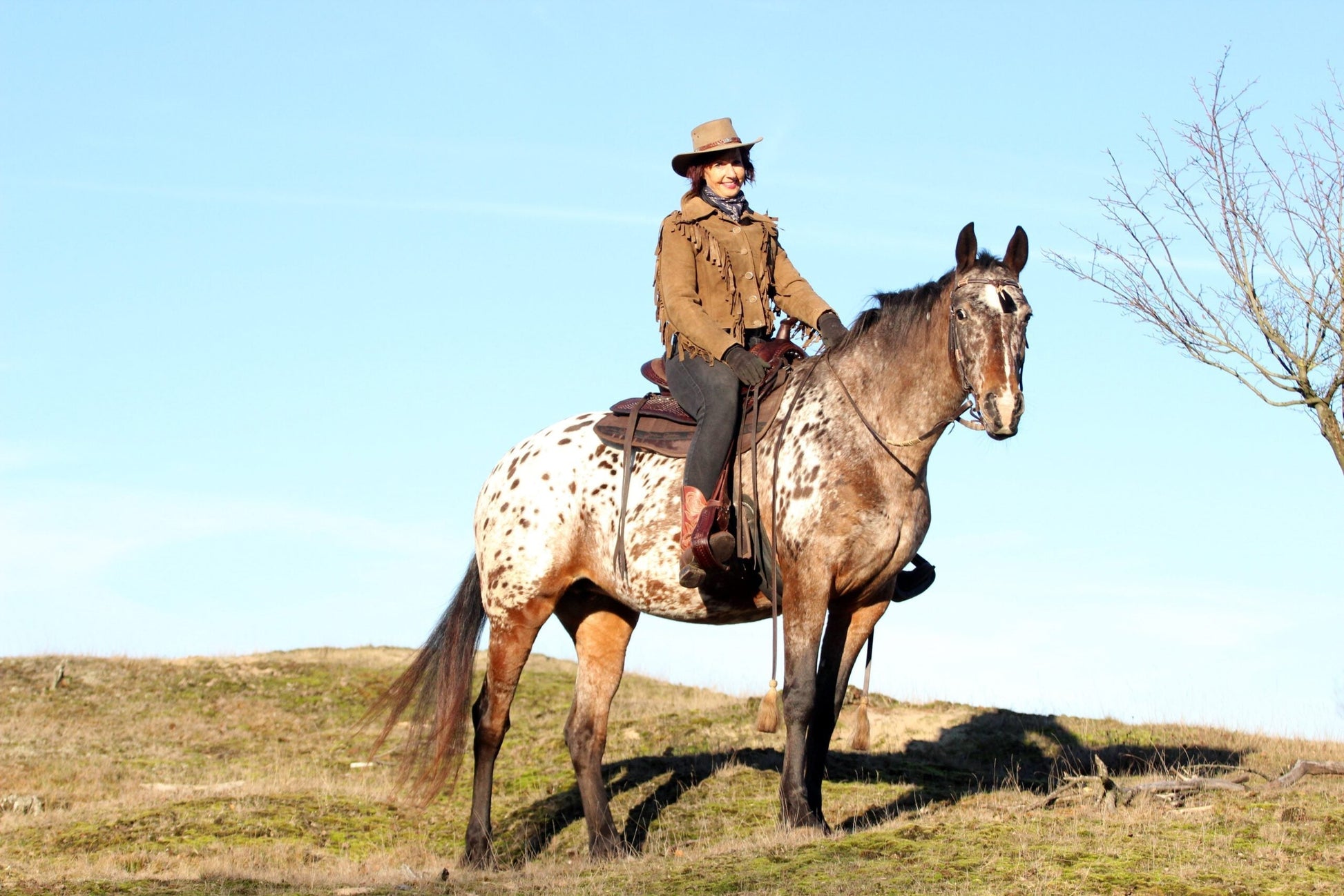 EDIX Santos treeless western saddle